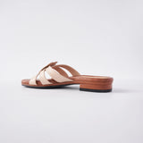 Dreamier in Hana Beige & Brown Flats