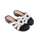 Dreamier in Hana Black & White Flats